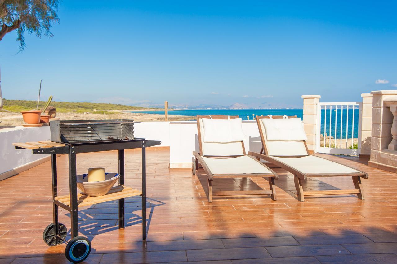 Solidago Chalet *